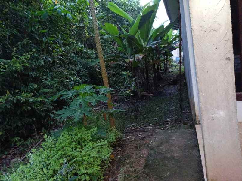 dijual rumah dijual rumah di jl jend