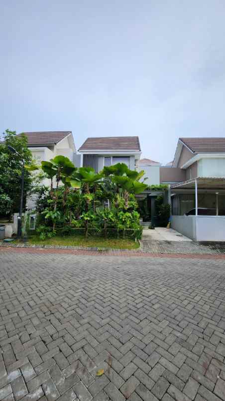 dijual rumah jalan citraland utama