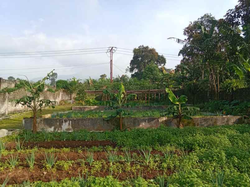 dijual rumah jl raya cianjur sukabumi jawa barat