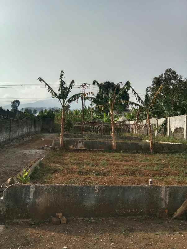 dijual rumah jl raya cianjur sukabumi jawa barat