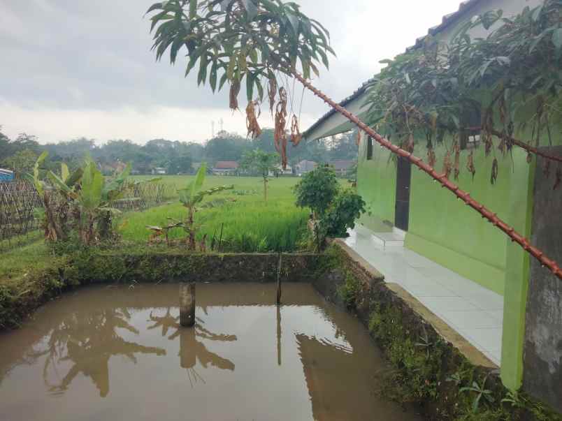 dijual rumah siap huni pinggir jalan view bagus