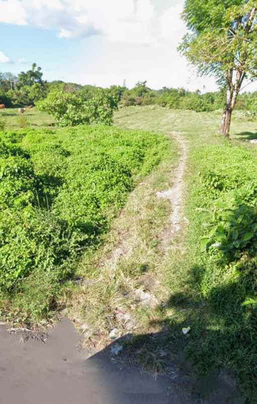 dijual tanah 1 1 hektar jl pantai siyut gianyar bali