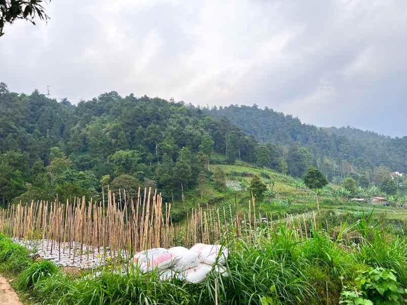 dijual tanah 410m dekat candi sukuh kemuning