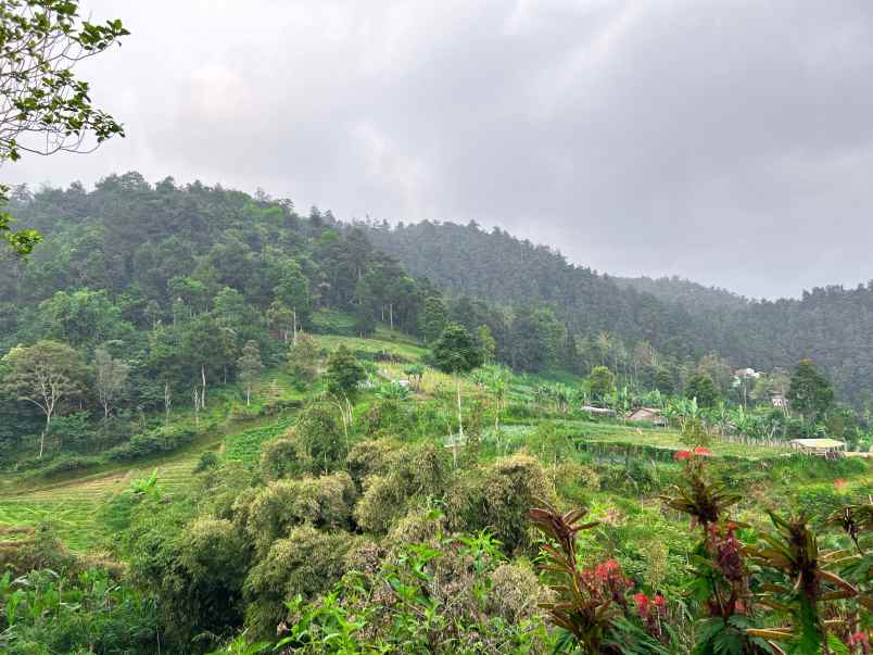 dijual tanah 410m dekat candi sukuh kemuning