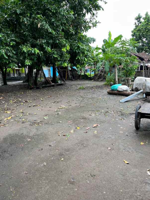 dijual tanah bakulan kulon trirenggo