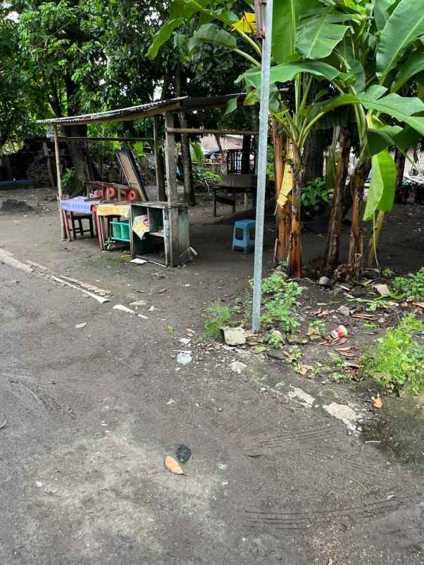 dijual tanah bakulan kulon trirenggo