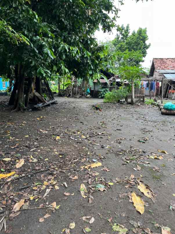 dijual tanah bakulan kulon trirenggo