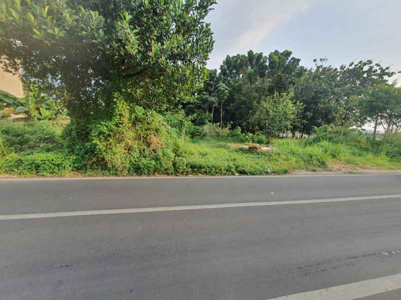 dijual tanah ciater serpong