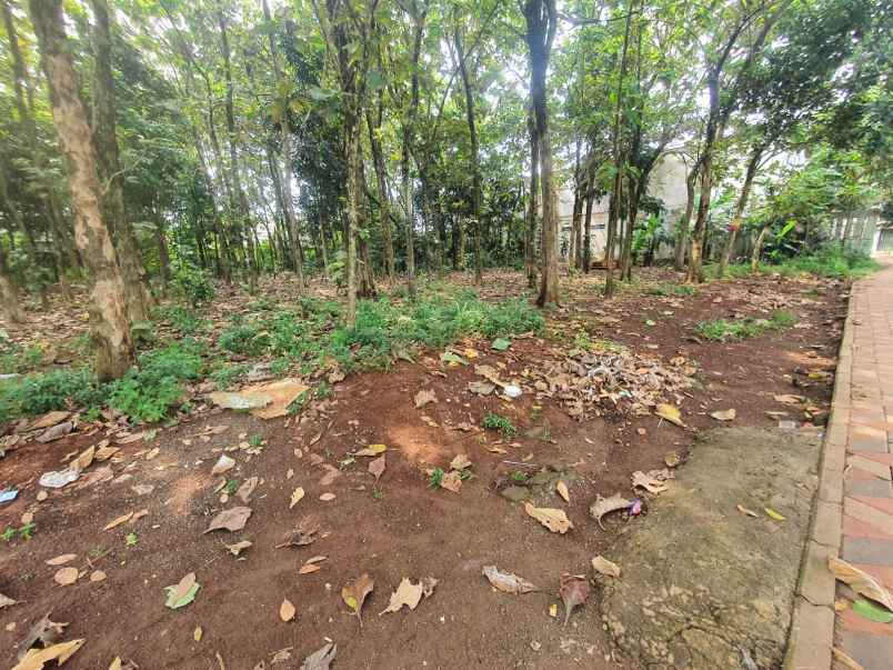 dijual tanah ciater serpong