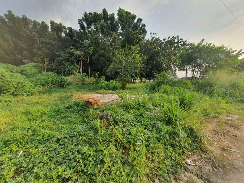 dijual tanah ciater serpong