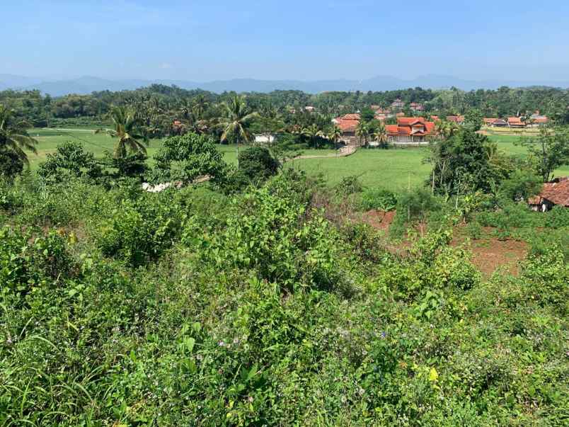 dijual tanah cibinong hilir cilaku cianjur