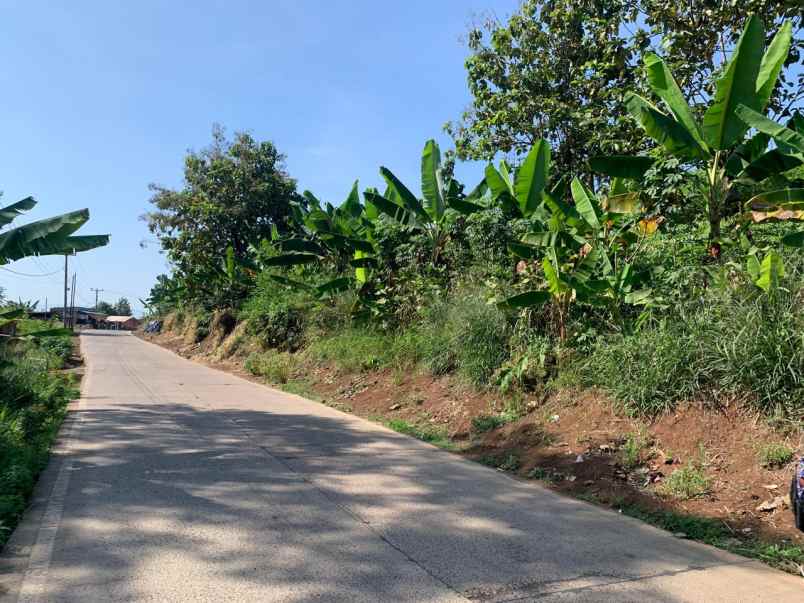 dijual tanah cibinong hilir cilaku cianjur