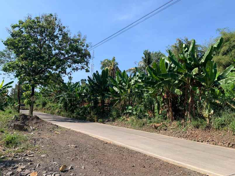 dijual tanah cibinong hilir cilaku cianjur