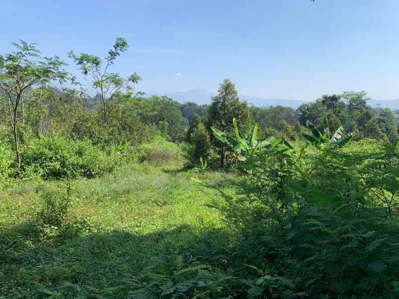 dijual tanah cibinong hilir cilaku cianjur