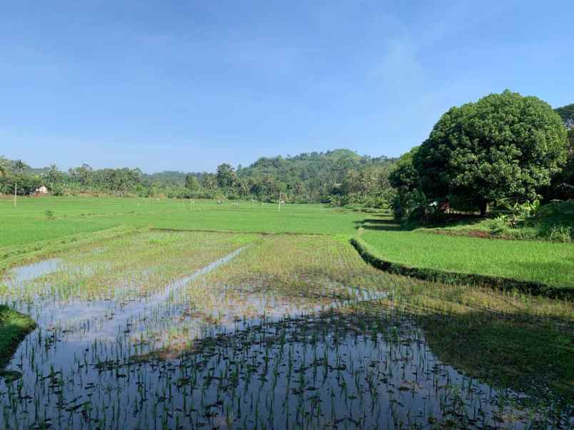 dijual tanah cibinong hilir cilaku cianjur