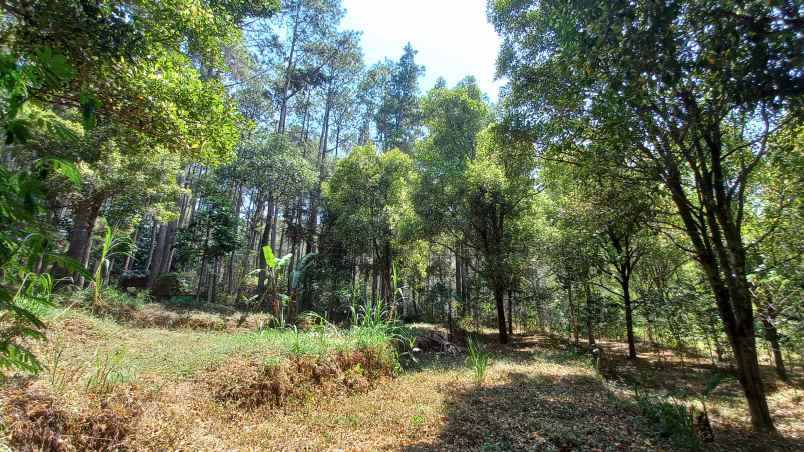 dijual tanah cilengkrang cikoneng pasir