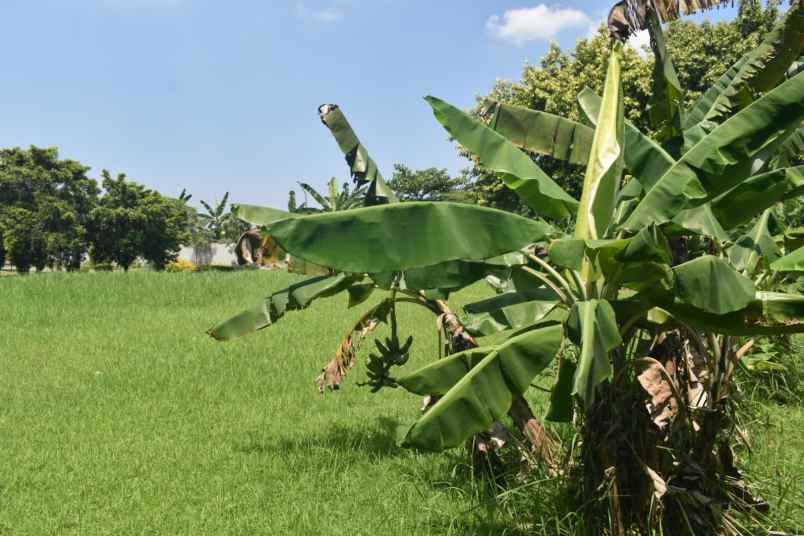 dijual tanah cluster kemang pratama