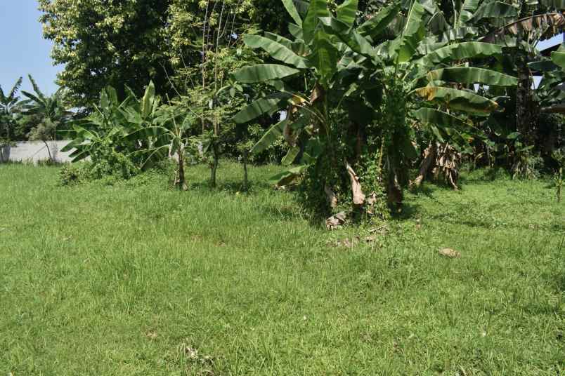 dijual tanah cluster kemang pratama