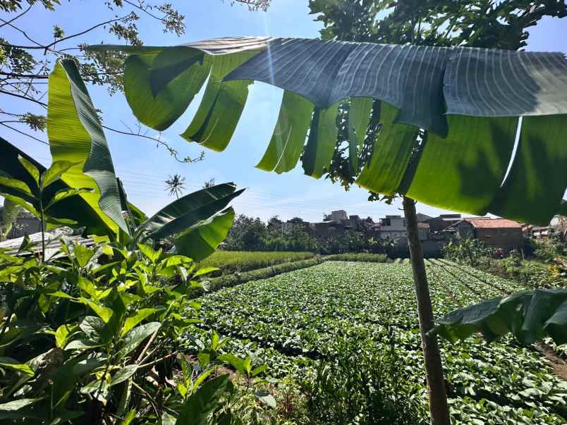 dijual tanah daeng moch ardiwinata