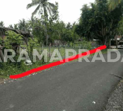 dijual tanah desa tanglad