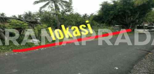 dijual tanah desa tanglad