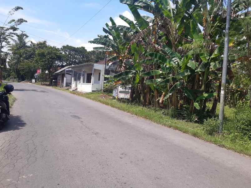 dijual tanah di desa pakusari jember