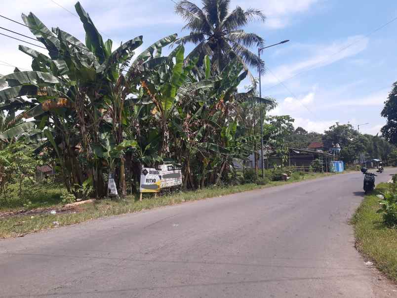 dijual tanah di desa pakusari jember