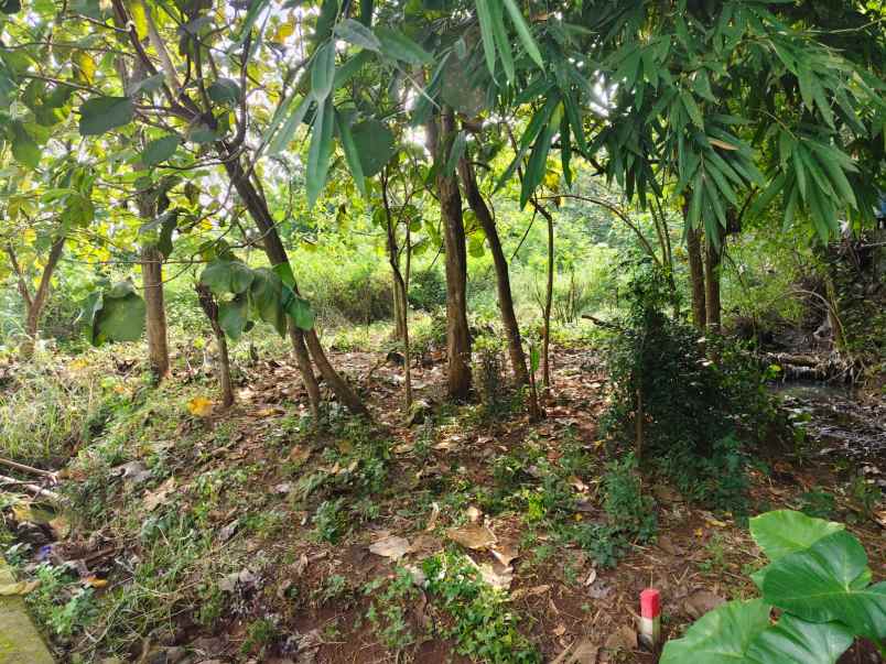 dijual tanah dijual tanah di daherah