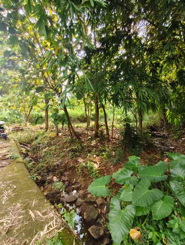 dijual tanah dijual tanah di daherah