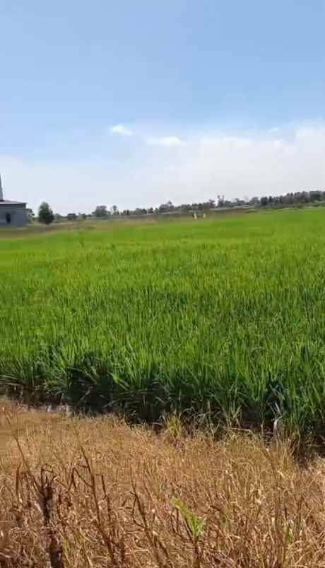 dijual tanah dijual tanah di desa
