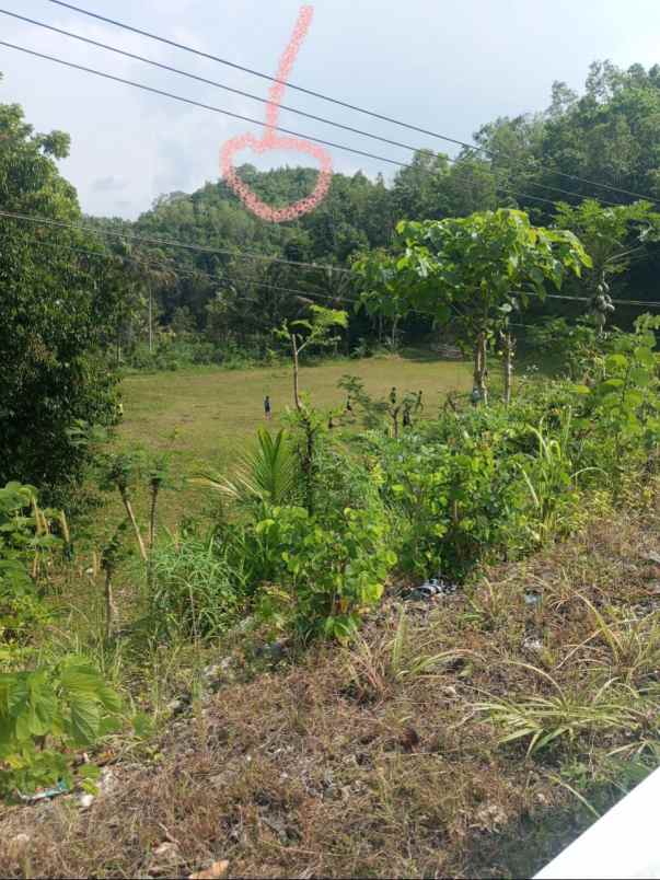 dijual tanah dijual tanah di lehundi