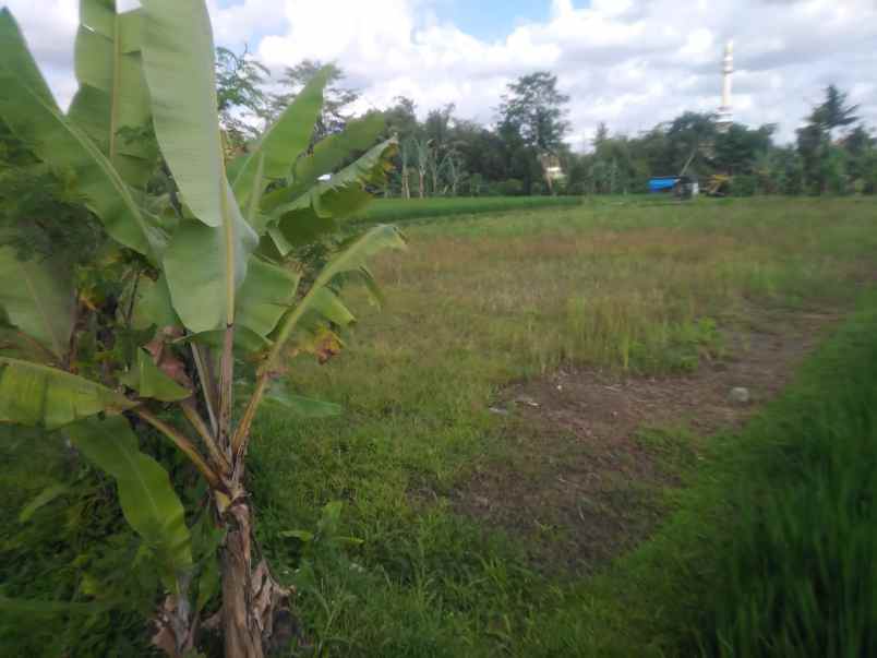 dijual tanah dukuh tridadi kec sleman