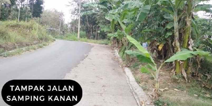 dijual tanah dusun bulu kel kandangan