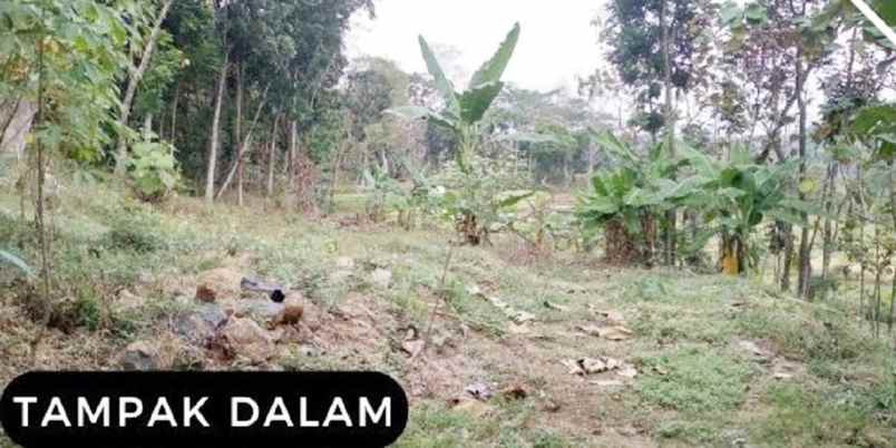 dijual tanah dusun bulu kel kandangan