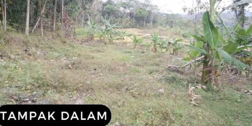 dijual tanah dusun bulu kel kandangan