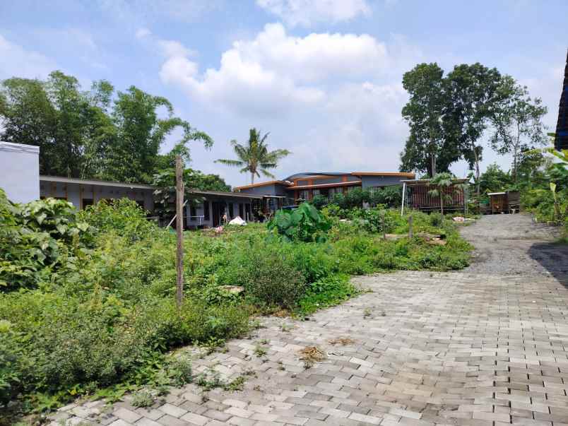 dijual tanah gabugan pandowoharjo kec