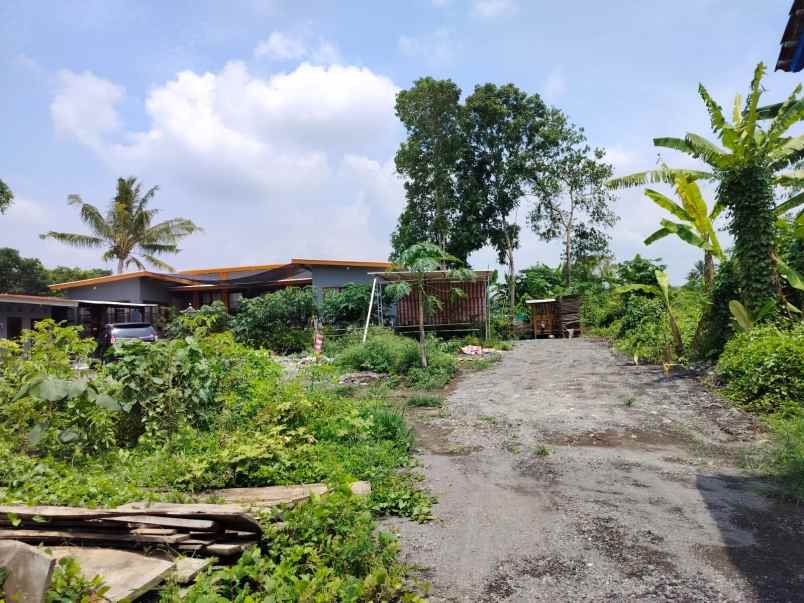 dijual tanah gabugan pandowoharjo kec