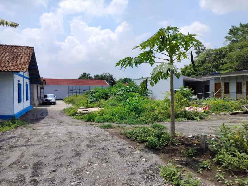 dijual tanah gabugan pandowoharjo kec