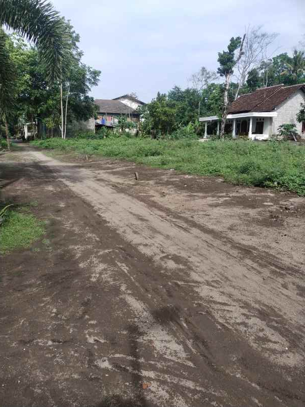 dijual tanah geneng tirtomartani