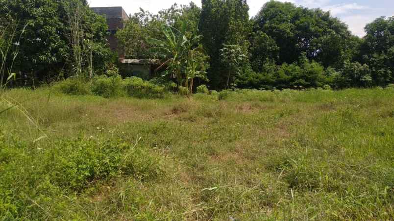 dijual tanah griya mulia loka