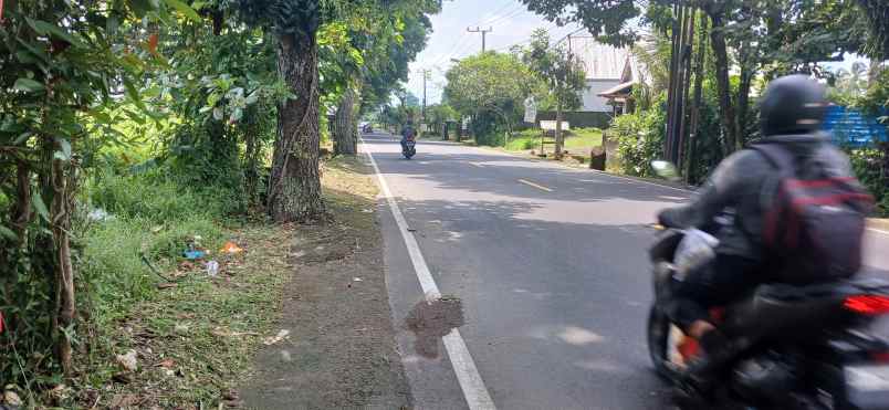 dijual tanah jalan denpasar singaraja