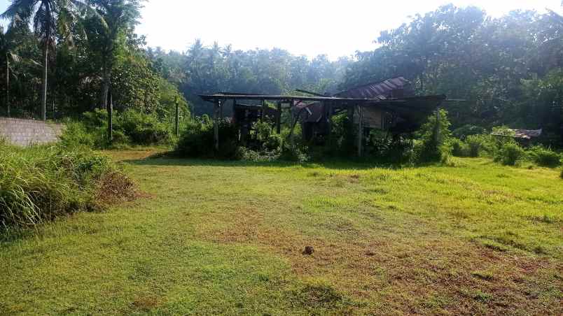 dijual tanah jalan krt kertodiningrat