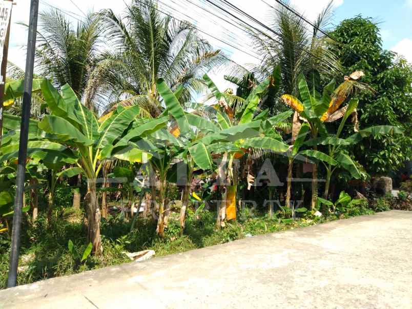 dijual tanah jalan perintis
