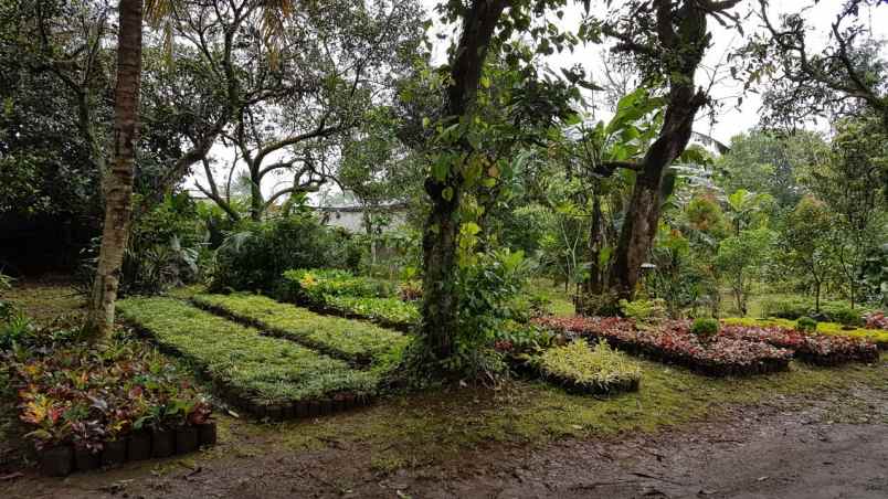 dijual tanah jalan raya arco tajur halang