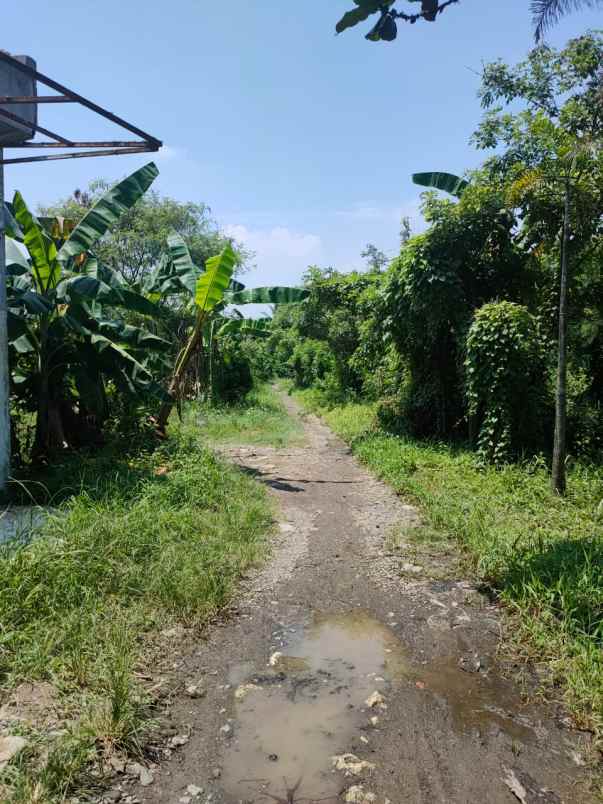 dijual tanah jalan raya serang cibarusah