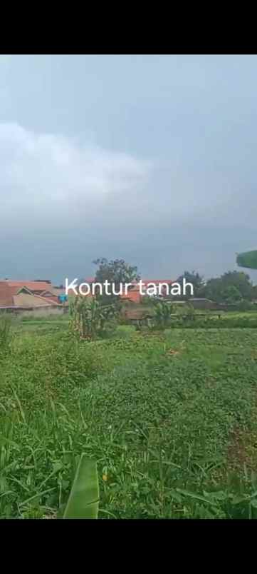 dijual tanah jl permana citeureup