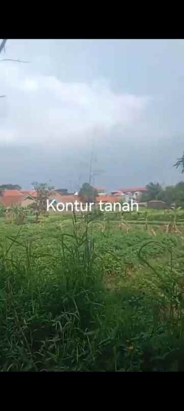 dijual tanah jl permana citeureup