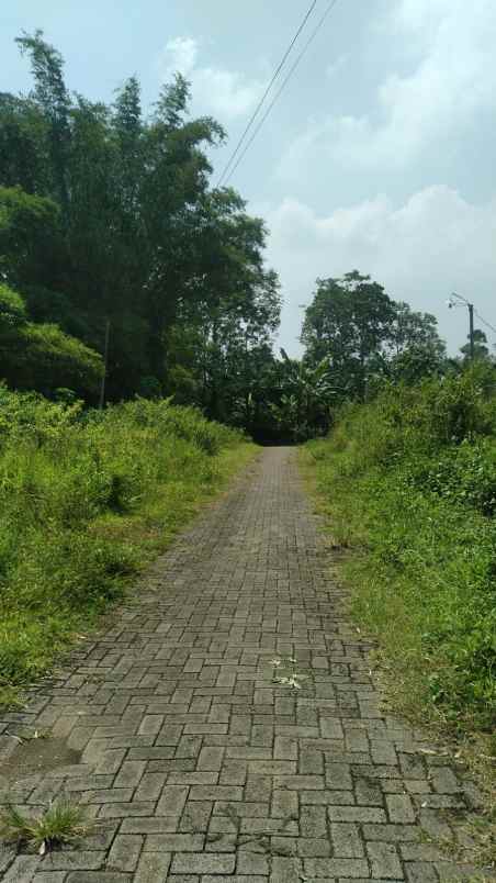 dijual tanah jl pringondani merjosari