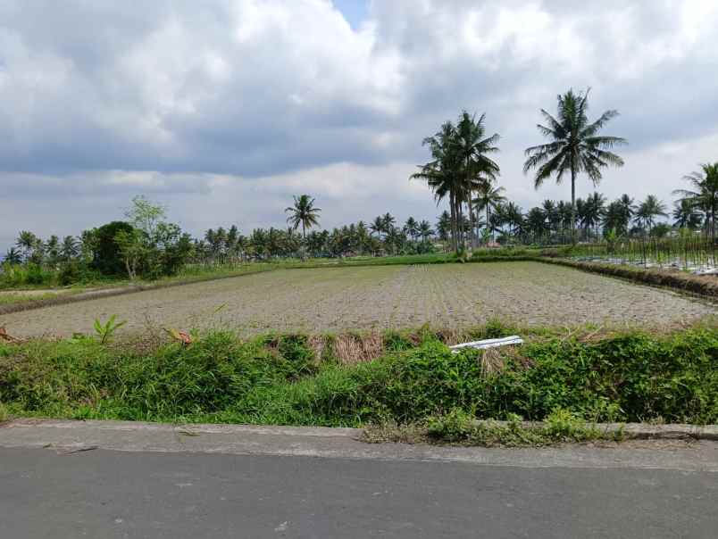 dijual tanah jl raya borobudur pd