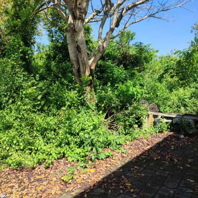 dijual tanah jl siligita nusa dua
